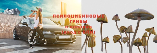 прущие крисы Абаза