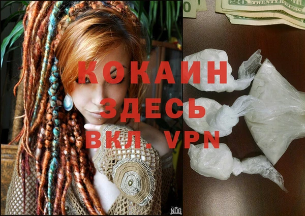 прущие крисы Абаза