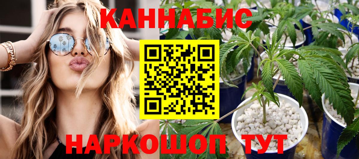 Шишки марихуана гибрид Холмск